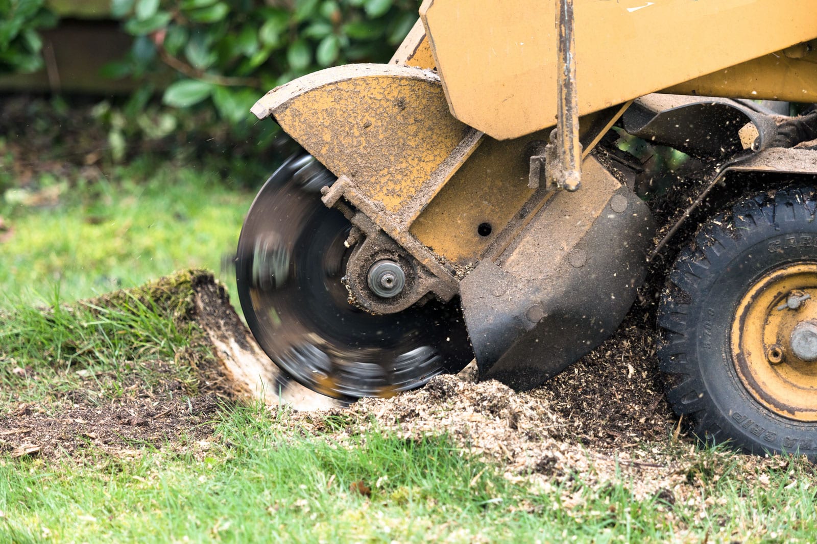 Stump Grinding Business Insurance