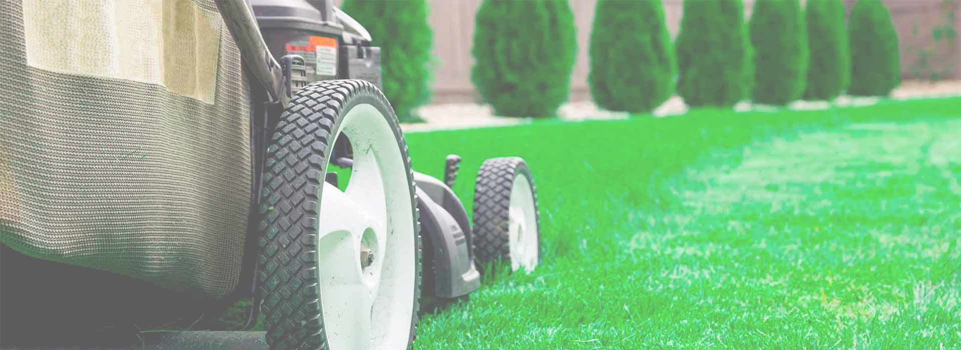 Lawn Mowing Insurance Coverage
