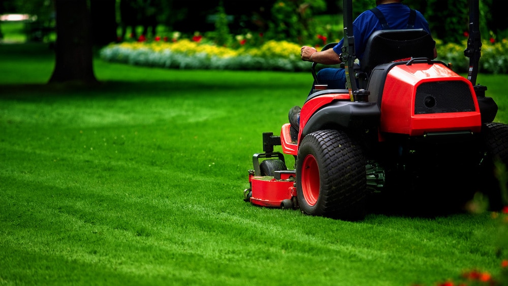 how much does it cost to start a landscaping business
